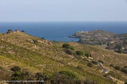 17 10 2011 - Vermeille Coast (FRA, 66) - Corbières Vineyards