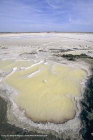 France, Provence, Camargue, Marais salant, Salted marshes