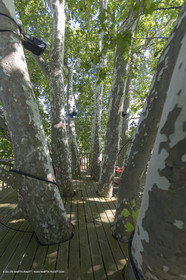 22 06 2018, Saint-Saturnin les Apts (FRA,84), Domaine des Andéols