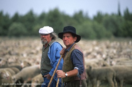 Saint Rémy de Provence (FRA,13) - Fête de la Transhumance