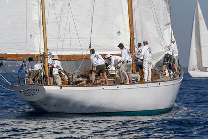 RRoyales18_5369.jpg