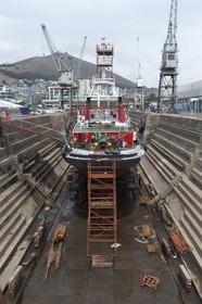 08 11 2014, Capetown (ZAF), Volvo Ocean Race 2014-15, Team Alvimedica, Nursing the boat