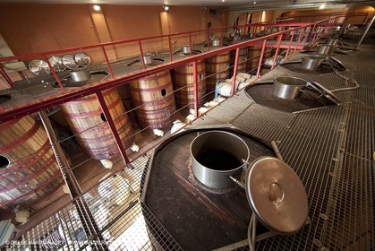 Saint Drézéry (FRA, 34), Domaine de Puech Haut