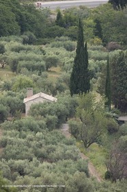 24 Juin 2008 -Les Baux de Provence (FRA-13) - Paysage des Alpilles