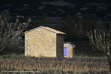 Luberon en hiver vers Saint Saturnin les Apts (FRA,84)