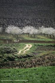 Luberon en hiver vers Saint Saturnin les Apts (FRA,84)