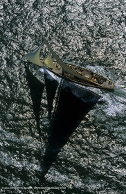 Cambria - Classic yachts