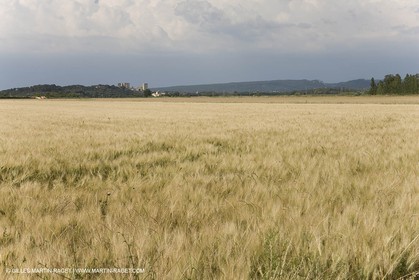10 06 2008 - Arles and surroundings (FRA, 13) - Vincent Van Gogh south