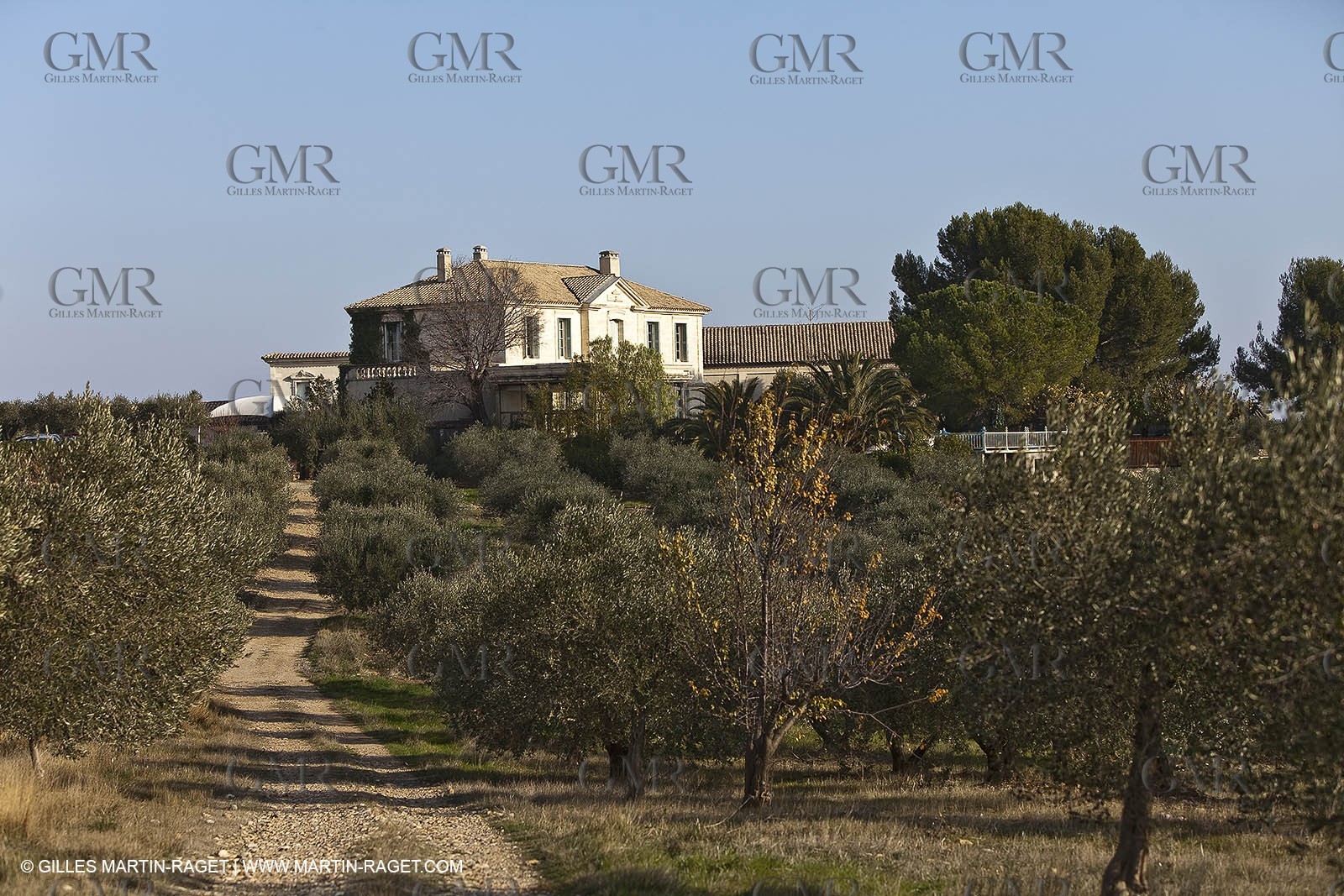 Saint Drézéry (FRA, 34), Domaine de Puech Haut
