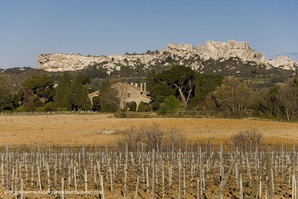 27 03 2008 - Les Baux de Provence (FRA,13) - Alpilles hills landscapes