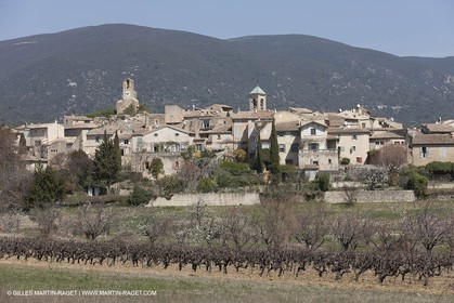 March 30th 2012 - Saint Saturnin les Apt (FRA, 84) - blooming cherry trees