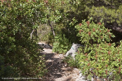 07 09 2009 - Marseille (FRA, 13) - Les Calanques - Massif de Marseilleveyre - Grand Malvallon