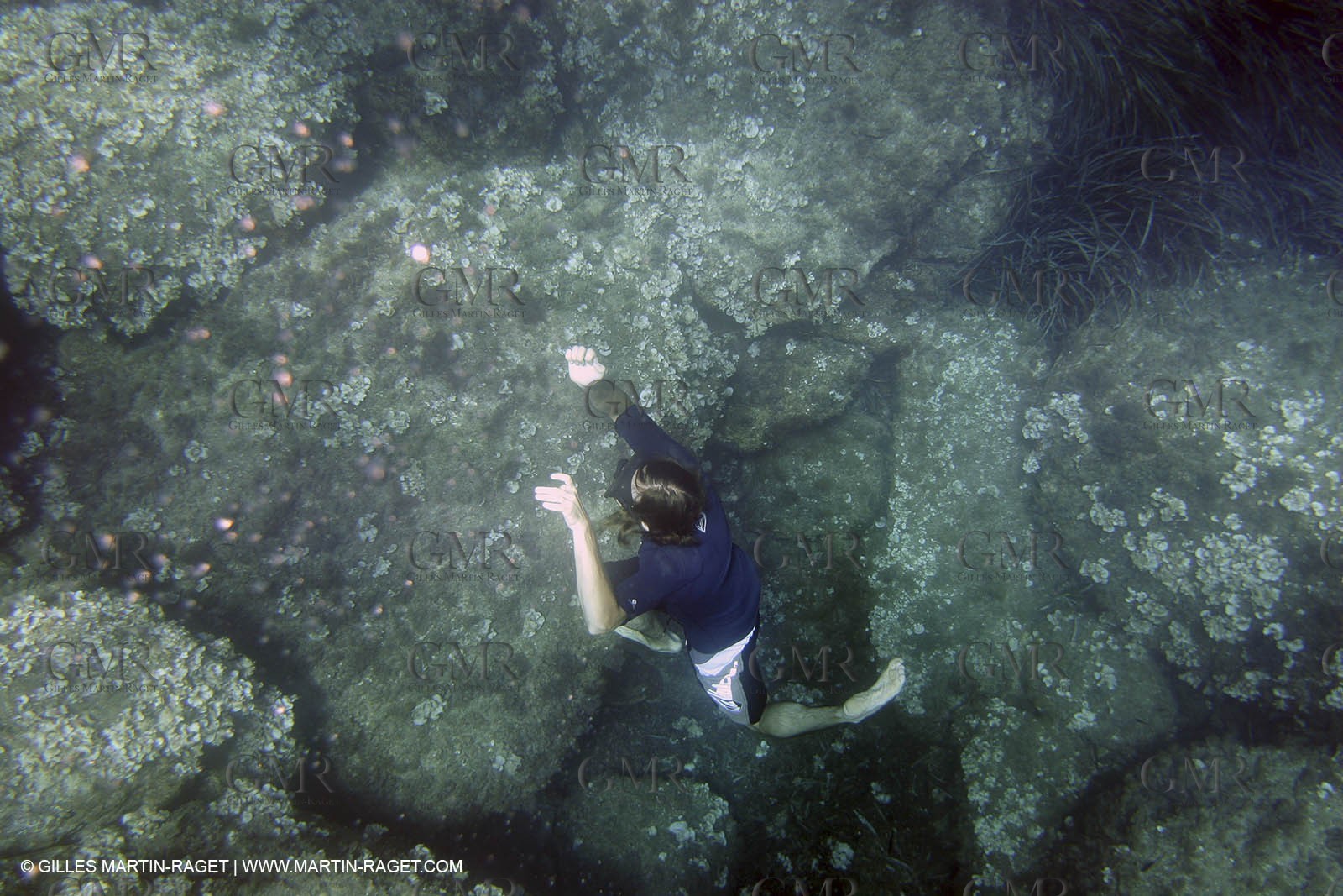 Snorkeling - Diving - 2005, Port Cros Island