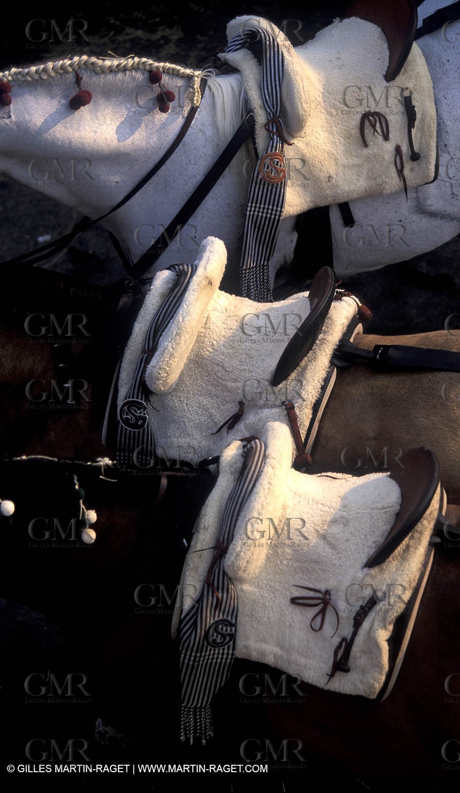 Rejon Bullfight - Rejoneadores