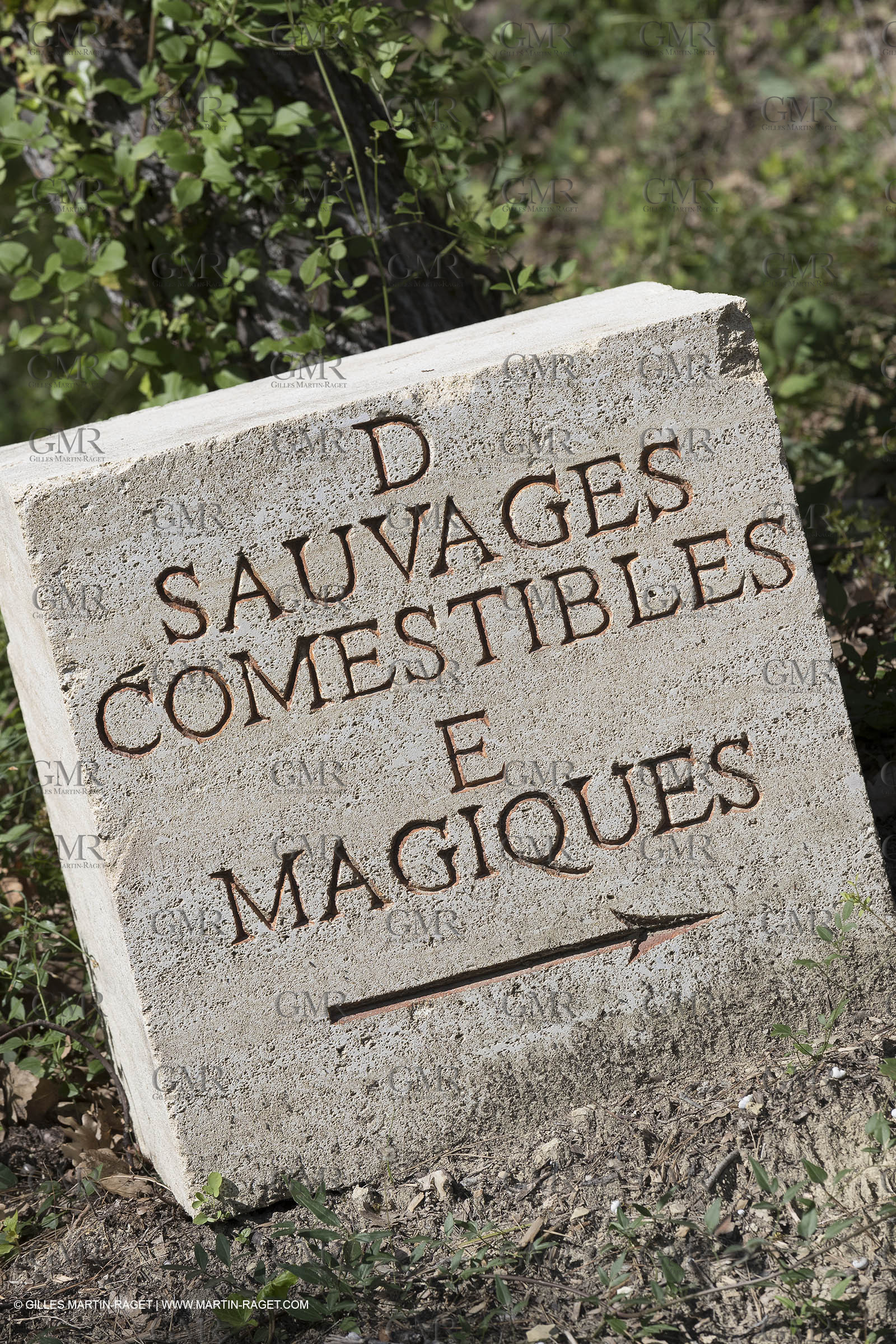 22 06 2018, Ménerbes (FRA,84), Domaine de la Citadelle, Jardin Botanique