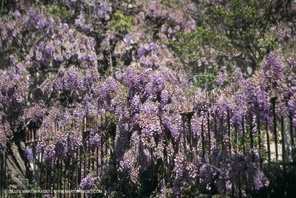 Paysages de Nîmes Métropole (FRA,30) - La Vaunage