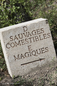 22 06 2018, Ménerbes (FRA,84), Domaine de la Citadelle, Jardin Botanique