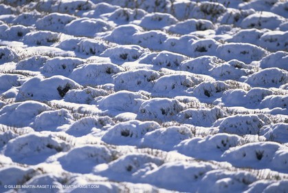 Provence sous la neige
