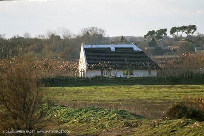 Camargue (FRA,13) - Petite Camargue