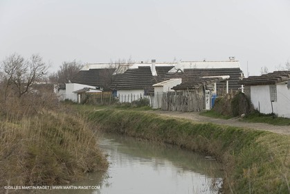 16 02 2008 - Les Saintes Maries de la mer (FRA, 13) - Cabanes de gardians