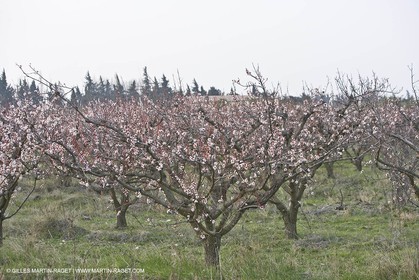 16 02 2008 - Les Baux de Provence (FRA, 13) - Alpilles hills landscapes