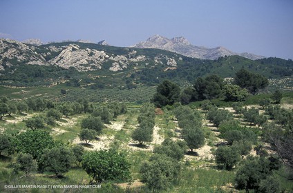 Baux of Provence