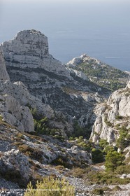 10 09 2009 - Marseille (FRA, 13) - Les Calanques - Massif de Marseilleveyre - Vallon de Mougranier - Vallon Saint Michel