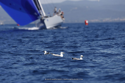 11 05 2024, Porquerolles (FRA, 83), Porquerolles's Race 2024, Jour 4