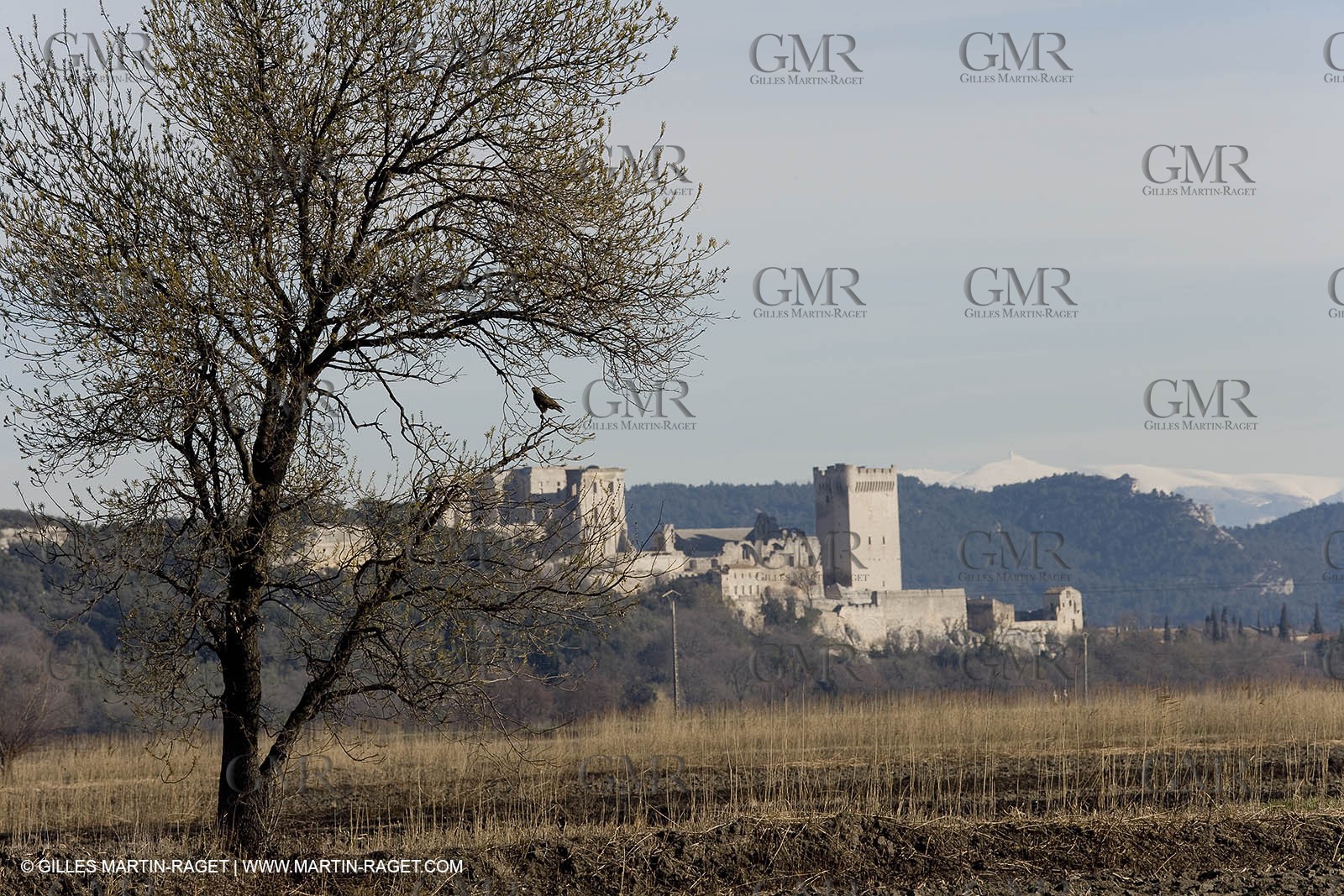 05 02 2008 - Arles (FRA, 13) - Arles surroundings landscapes