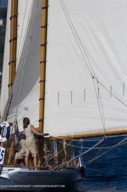 YC9H8272.JPG