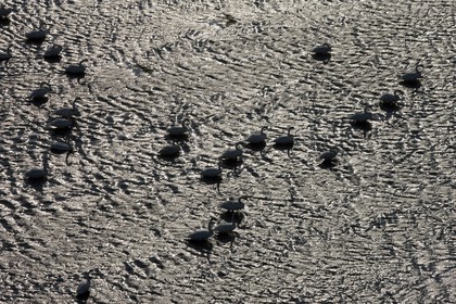 03 10 2008 - Fos   mer (FRA, 13) - L'Hydroptère - Tentative de record de vitesse