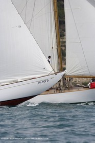 YC9H4926.JPG