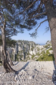 03 05 2009 - Marseille (FRA, 13) - Les Calanques - En Vau