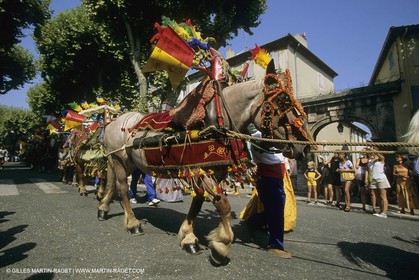 France, Provence, Saint-Rémy de Provence, Careto ramado (Char fleuri)