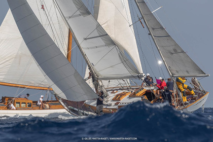 VST21D6_1379.jpg