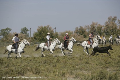 Arles 2006, Camargue horses races