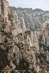 20 03 2009 - Marseille (FRA, 13) - Les Calanques - Falaises de l'Oule et brèche de Castelviel