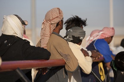 20 11 2010 - Dubai (UAE) - Camel races