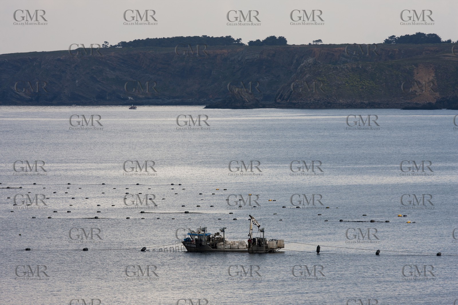 20 04 2010 - Camaret (FRA,29)