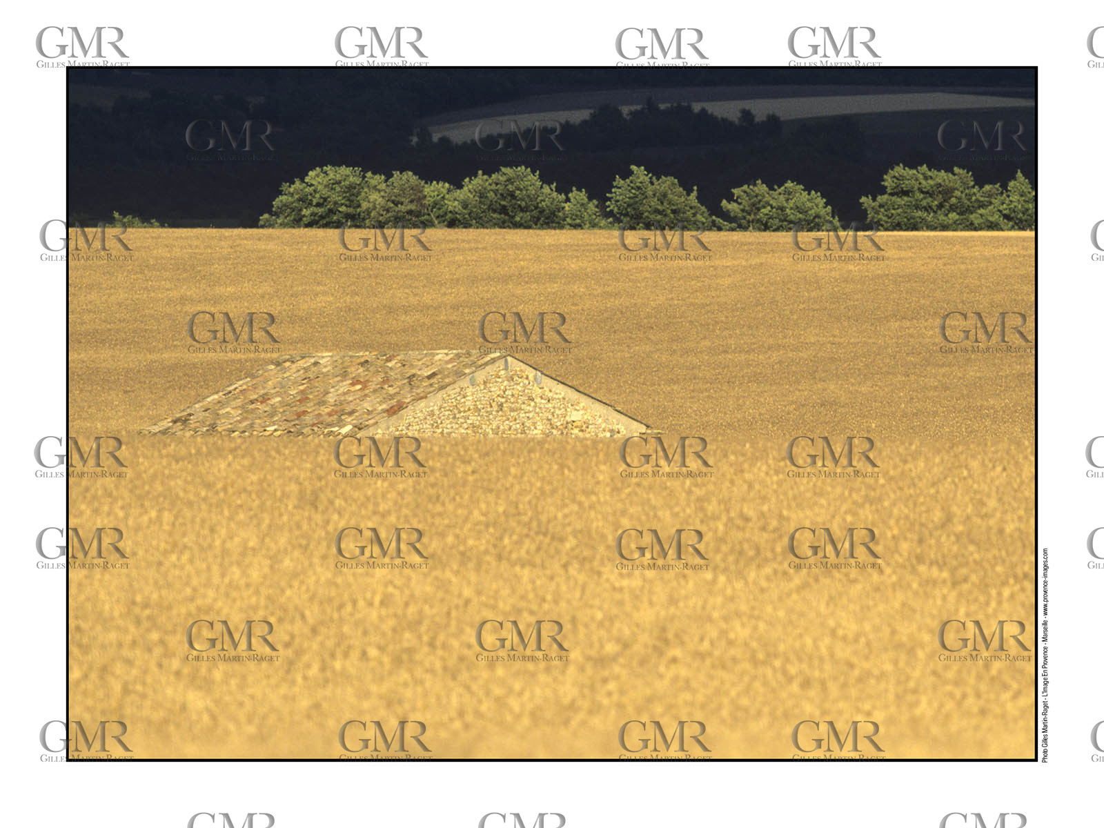 Product: in house made quality print on 8 ultrachome colors Epson ink Jet printer.Available sizes: . 30x40 cm. 50x70 cm. 80x120 cmAvailable papers: . Standard 250 gr glossy paper print, black streak, white margin, no signature. Top quality glossy 290 gr. paper, black streak, white margin, checked and signed by the author. Fine Art print (signed, numbered, stamped, registered) on demand. Other supports (Canvas, Acrylic, Metal) on demandPackaging: cylindric reinforced tubeShipping options: regular mail or Shipping companyClick on the basket icon to select your options and start the online ordering process