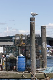 01 07 2010 - Newport (USA,RI) - 33rd America's Cup - BMW ORACLE Racing - East Coast Victory Tour - Day 4