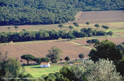 Porquerolles Island