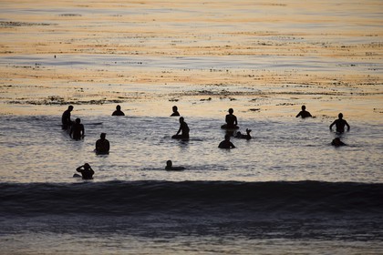 17 11 2008 - San Diego (USA, CA)