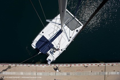FXCat_0299.jpg