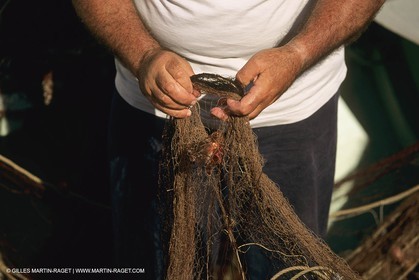 Pêche, barques, pointus, pêcheurs