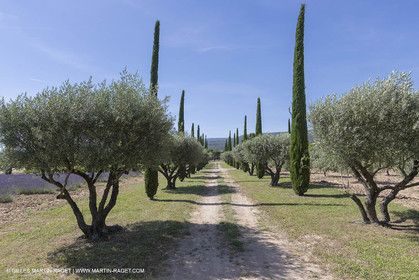 22 06 2018, Saint-Saturnin les Apts (FRA,84), Domaine des Andéols