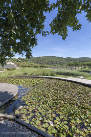 22 06 2018, Saint-Saturnin les Apts (FRA,84), Domaine des Andéols
