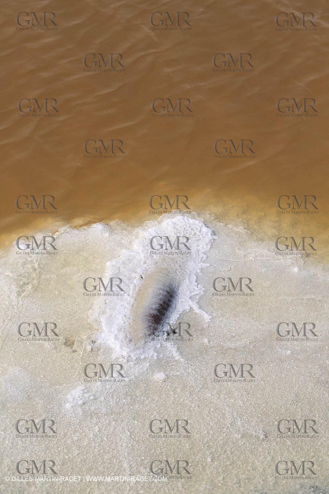 France, Provence, Camargue, Marais salant, Salted marshes