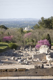 12 04 2008 - Saint Rémy de Provence - (FRA,13) - Le Midi de Van Gogh - site archéologique romain de Glanum