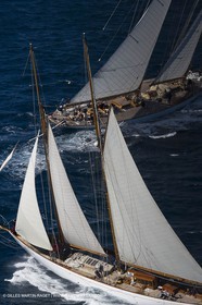 Altaïr - 03 10 2006 - Saint Tropez (Fr) - Voiles de Saint Tropez 2006 - Altaïr